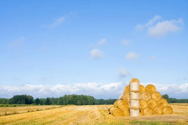 Big round bales of straw in the meadow. Polish countryside lands — Stock Photo, Image