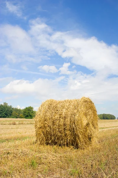 Polish country landscape, summer — Stock Photo, Image