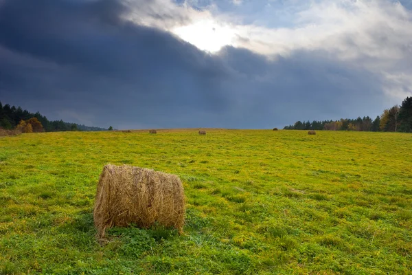 Countryside landscape, Poland — Stock Photo, Image