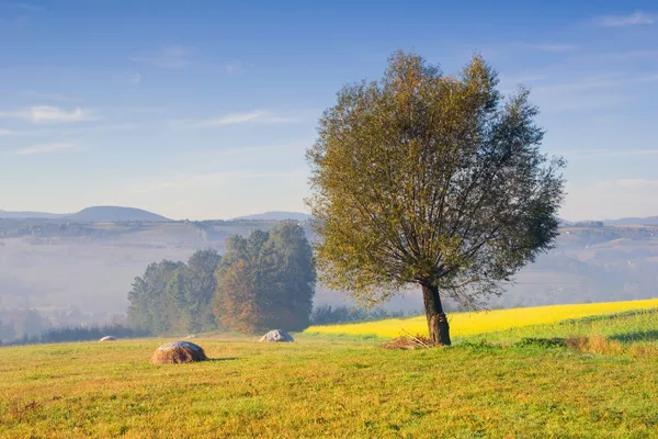 Paesaggio rurale, Polonia — Foto Stock