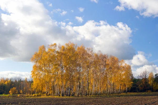 Paesaggio agricolo autunnale — Foto Stock