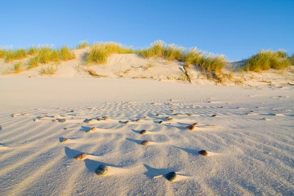 Дюна на пляже на закате — стоковое фото