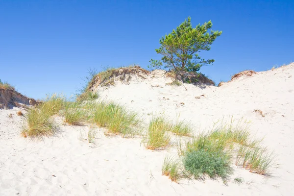 Dunes in a Slowinski National Park, Polonia — Foto Stock