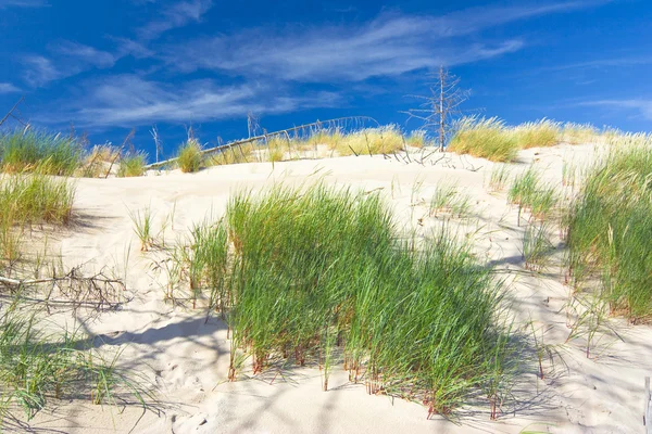 Dunas em um Parque Nacional Slowinski, Polônia — Fotografia de Stock