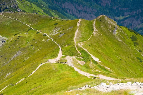 Hautes montagnes Tatra, Pologne — Photo