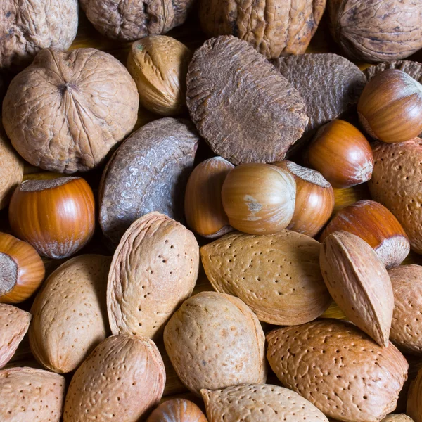 Mixed nuts in the shell selection of Brazil,almonds,walnut and hazelnuts — Stock Photo, Image