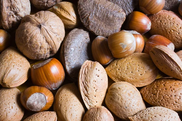 Nueces mixtas en la selección de cáscara de Brasil, almendras, nueces y avellanas — Foto de Stock