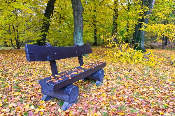 Bench in het najaarspark — Stockfoto