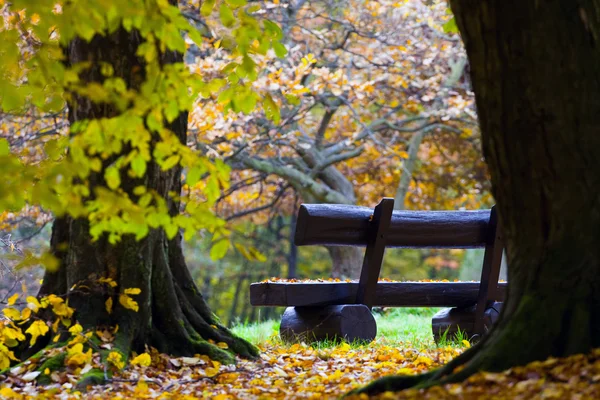 Bänke im Herbstpark — Stockfoto