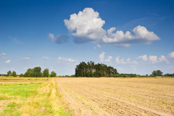 Polish countryside landscape — Stock Photo, Image