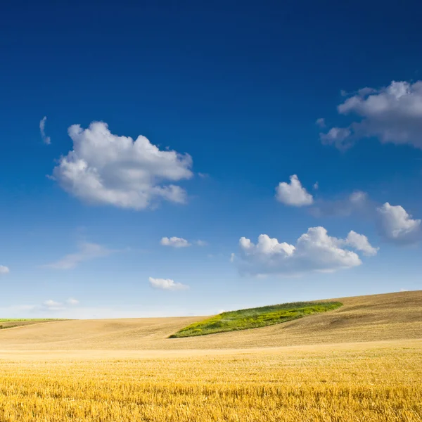 Paisaje rural polaco — Foto de Stock