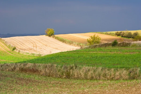 Польский сельский пейзаж — стоковое фото