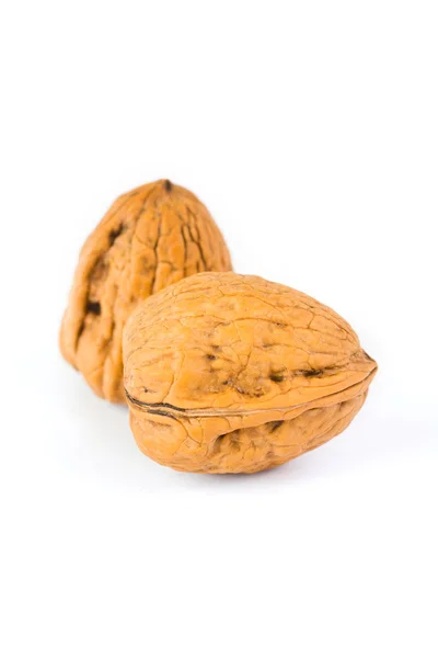 Walnut isolated on the white background — Stock Photo, Image