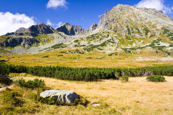 Summer in 5 lakes valley in High Tatra Mountains — Stock Photo, Image