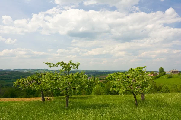 Polska landsbygden landskap — Stockfoto