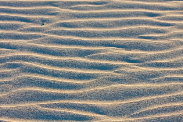 Dune batımında sahilde — Stok fotoğraf
