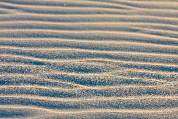 Duna na pláži při západu slunce — Stock fotografie