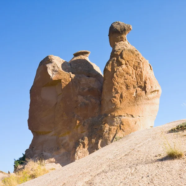 Kamelfelsen in Kappadokien, Türkei — Stockfoto