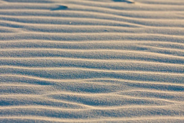 Dune on Beach at Sunset — Stock Photo, Image