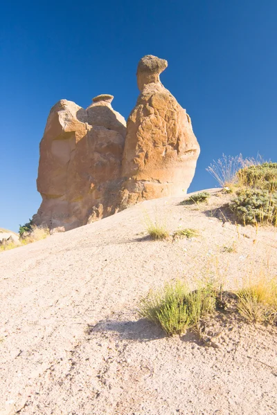 Kamel rock i i Kappadokien, Turkiet — Stockfoto