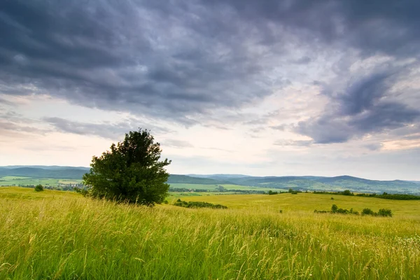 Paisagem rural polaca — Fotografia de Stock