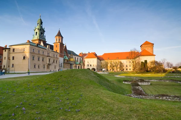 Wawel slott i Krakow, Polen — Stockfoto