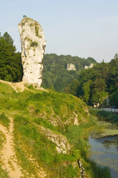 Skała o nazwie maczuga herkulesa w Narodowy ojcowski park, Polska — Zdjęcie stockowe