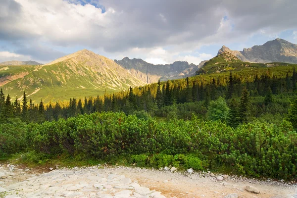 Valle de Gasienicowa en las montañas de Tatra, Polonia — Foto de Stock