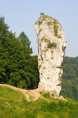 maczuga herkulesa olarak adlandırılan Ulusal ojcow park, Polonya rock