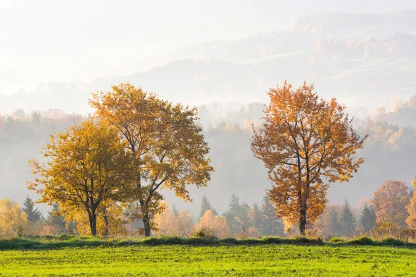 Mountain autumn landscape with colorful forest — Stock Photo, Image