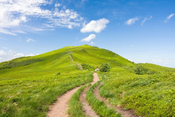 Vår i fjällen — Stockfoto