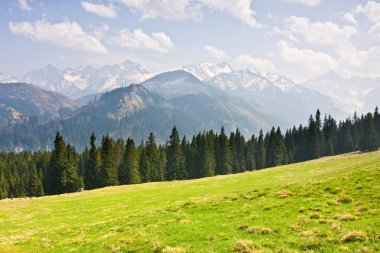 dağ manzarası, tatry, Polonya
