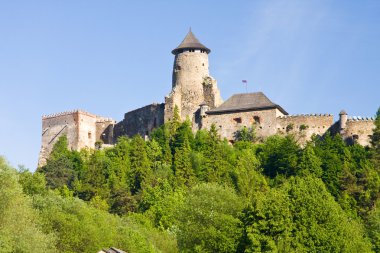 Stara lubovna castle, Slovakya