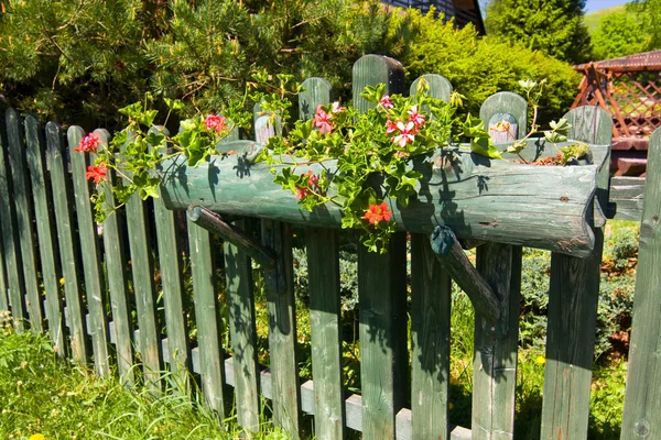 Beautiful flower decoration of an old wooden fence — Stock Photo, Image