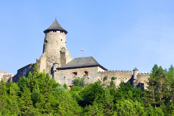 Castello di Stara Lubovna, Slovacchia — Foto Stock