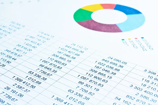finansal raporlar