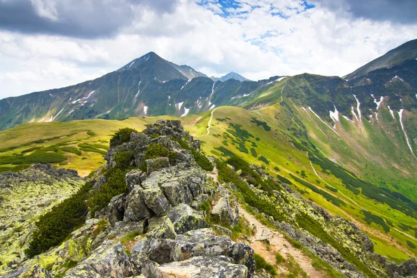 Tatry - chocholowska údolí — Stock fotografie