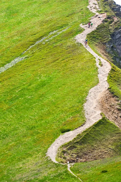 Tatrabergen - chocholowska valley — Stockfoto