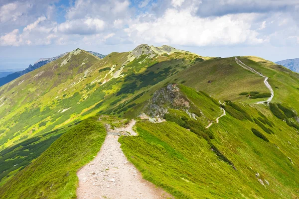 Tatra gebergte - chocholowska valley — Stockfoto