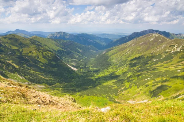 Tatrabergen - chocholowska valley — Stockfoto