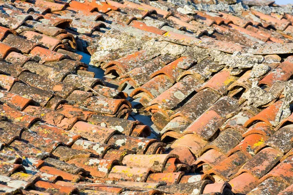 Плиточные крыши — стоковое фото