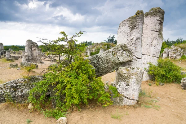 Fenômeno formações rochosas na Bulgária em torno de Beloslav - Pobiti kaman — Fotografia de Stock