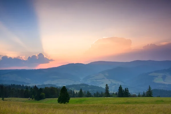 Summer sunrise in the mountains — Stock Photo, Image
