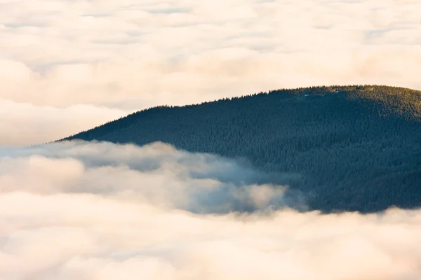 Landscape winter hill scene with fog. — Stock Photo, Image