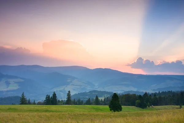 Zomer zonsopgang in de bergen — Stockfoto