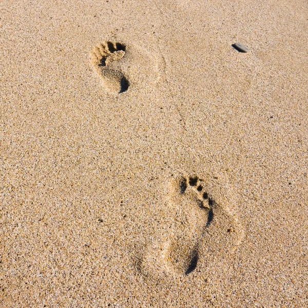 Footsteps at sunset time on the beach — Stock Photo, Image