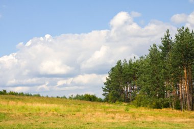 Güzel yaz manzarası.