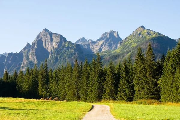 Bielovodska valley i Vysoké Tatry, Slovakien — Stockfoto