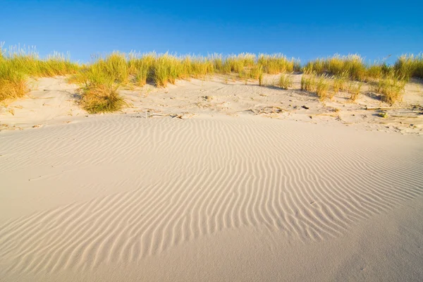 Mar Baltico a bella alba in Polonia spiaggia. — Foto Stock