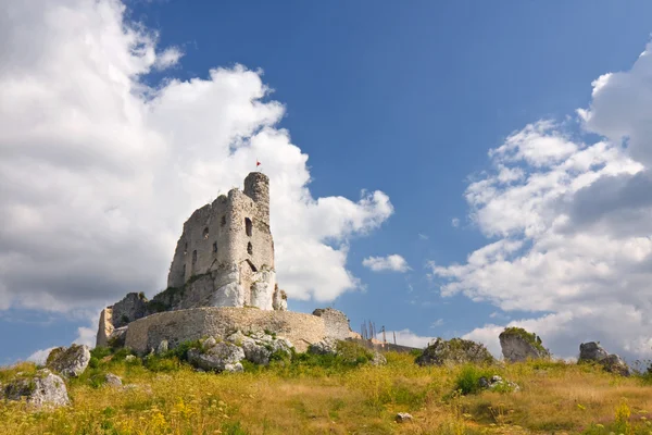 Ruines du château médiéval Mirow en Pologne — Photo